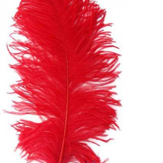 Перо Страуса PAPAYA JAM Ostrich Feather Red
