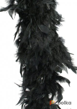 Возьмите Боа PAPAYA JAM Boa Feather Black напрокат (Фото 1) в Москве