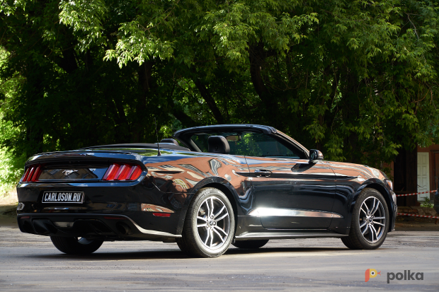 Возьмите Ford Mustang напрокат (Фото 4) в Москве