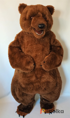 Возьмите Ростовая кукла Медведь Реалистичный напрокат (Фото 2) в Москве