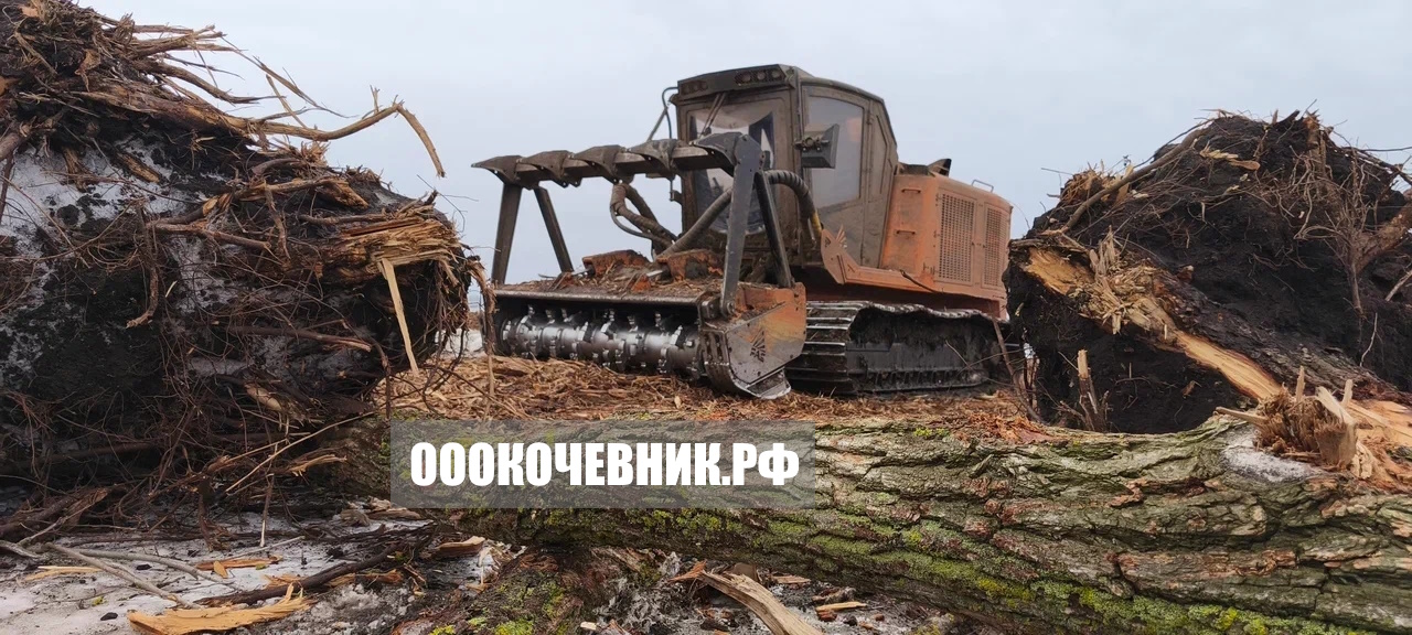 Благоустройство участка-8