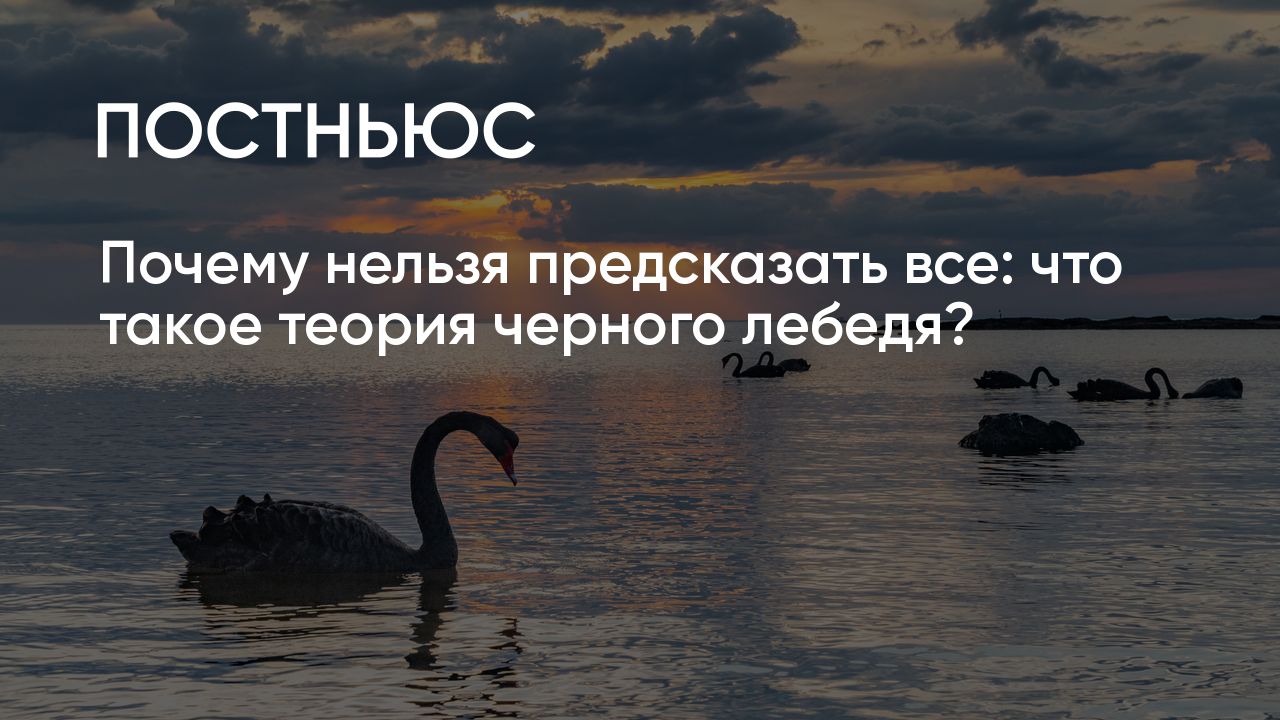 Почему нельзя предсказать все: что такое теория черного лебедя?