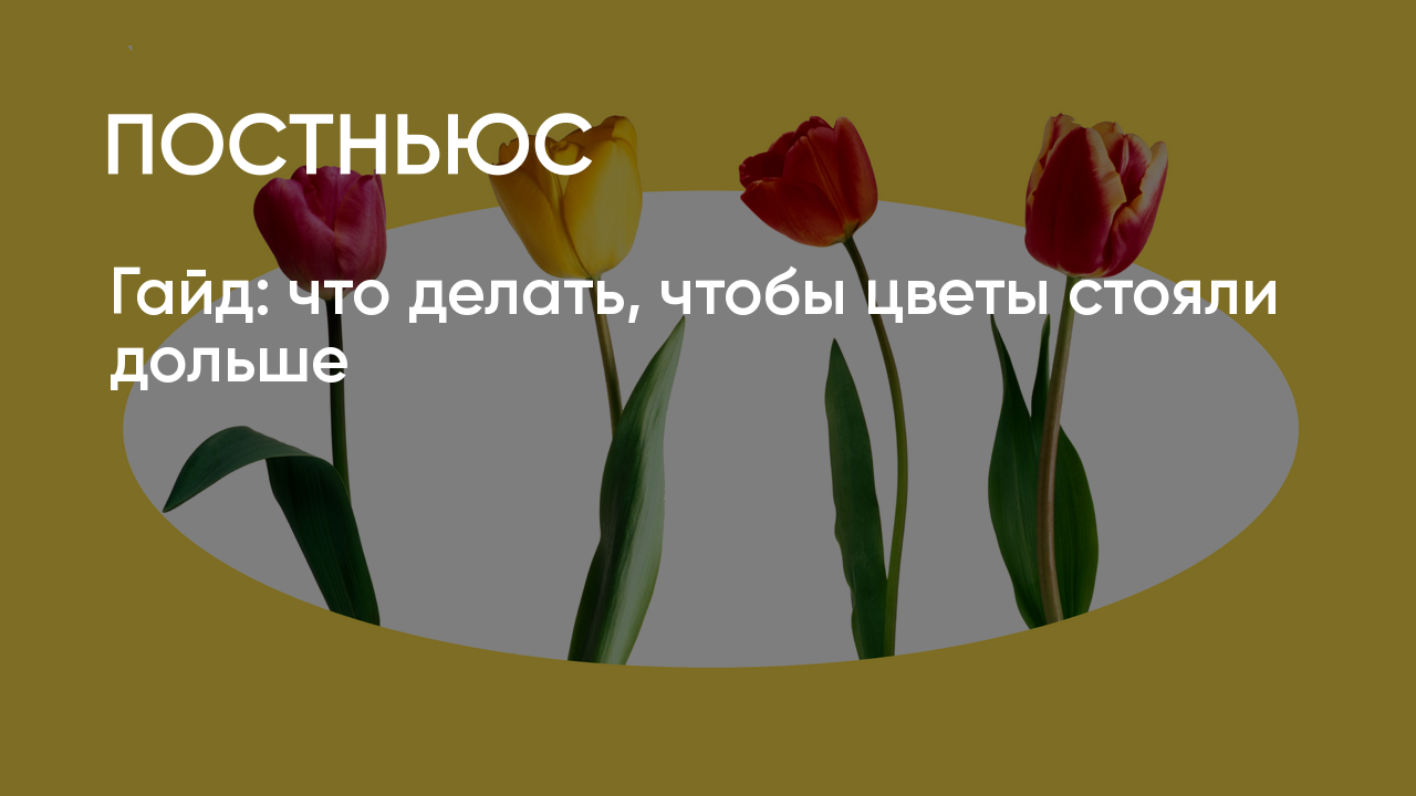 Чтобы цветок дольше стоял