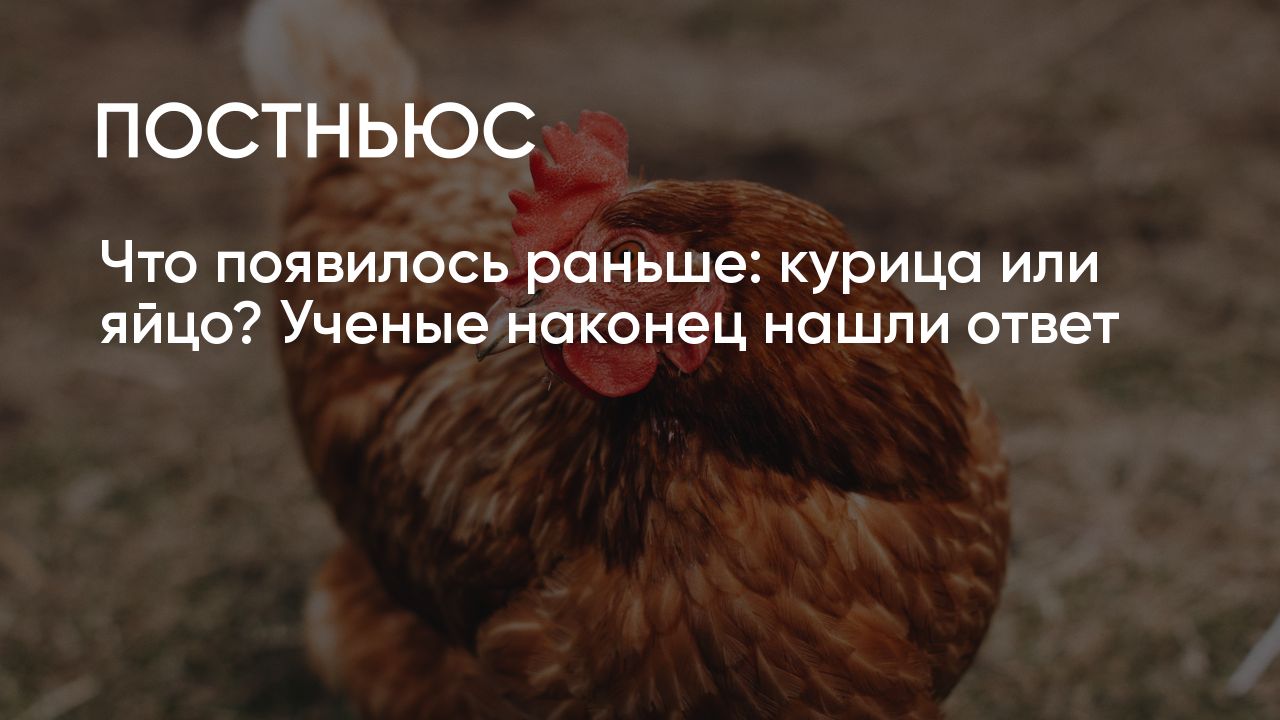 Что появилось раньше: курица или яйцо? Ученые нашли ответ