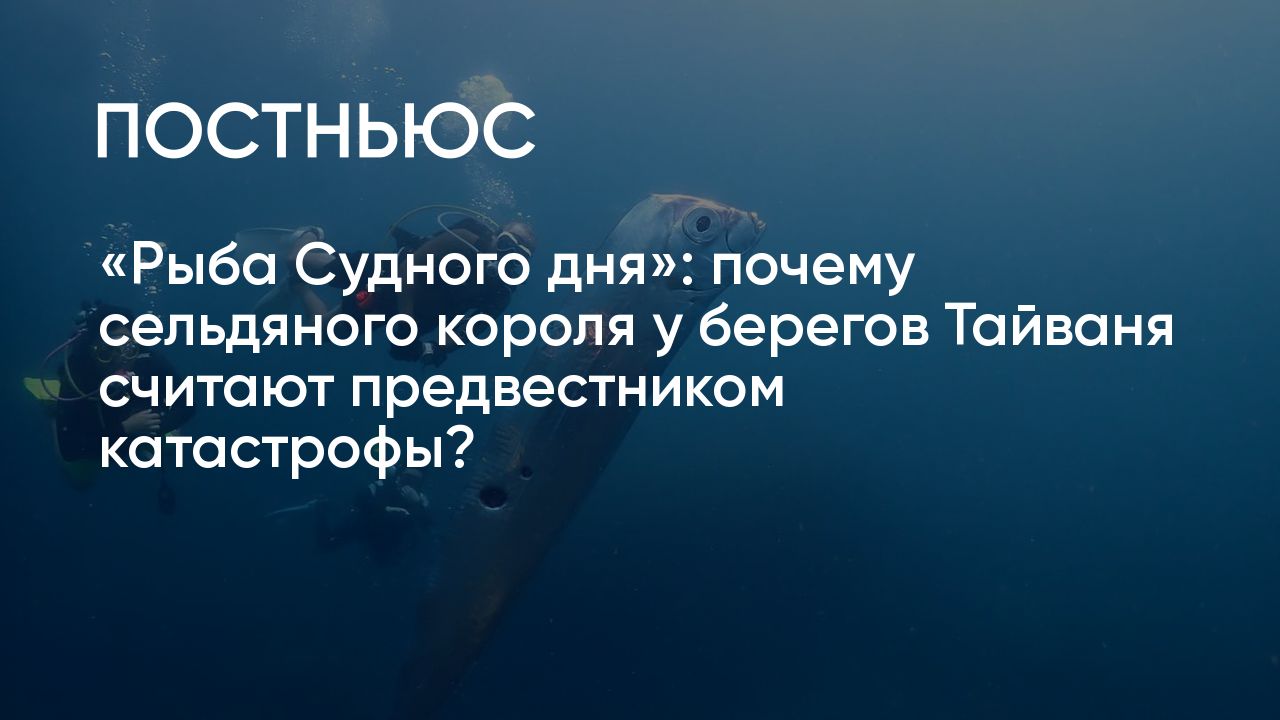 «Рыба Судного дня»: почему сельдяного короля у берегов Тайваня считают ...