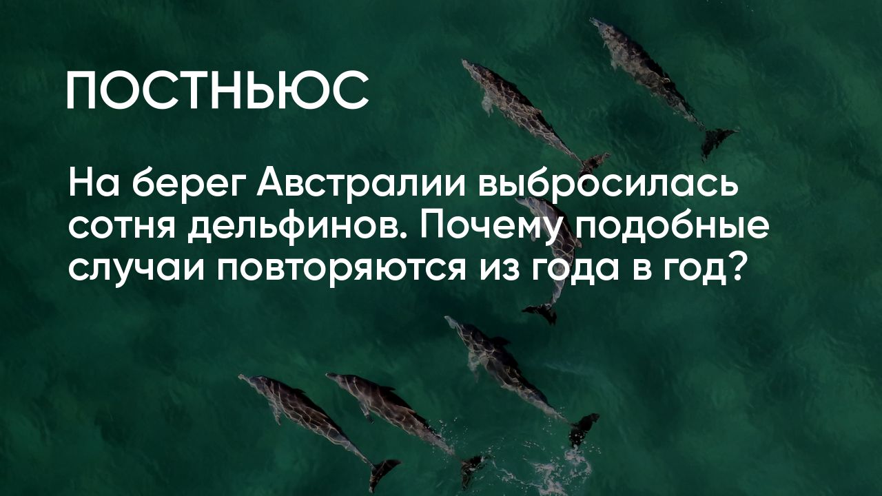 Конспект ОД «Путешествие в подводный мир Азовского и Чёрного морей» (средняя группа)