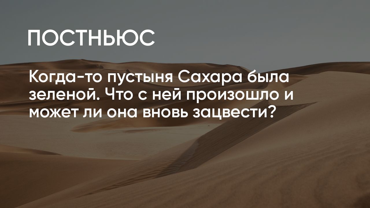 Когда-то пустыня Сахара была зеленой. Что с ней произошло и может ли она  вновь зацвести?