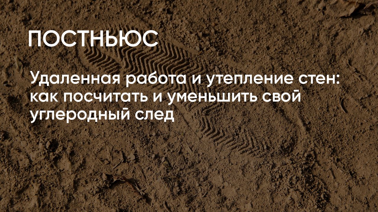 Удаленная работа и утепление стен: как посчитать и уменьшить свой  углеродный след