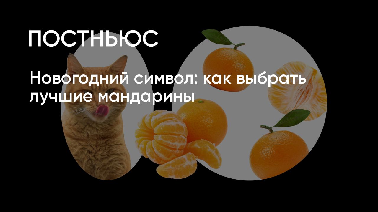 Как выбрать мандарины на Новый год, какие сорта самые вкусные и в чем польза