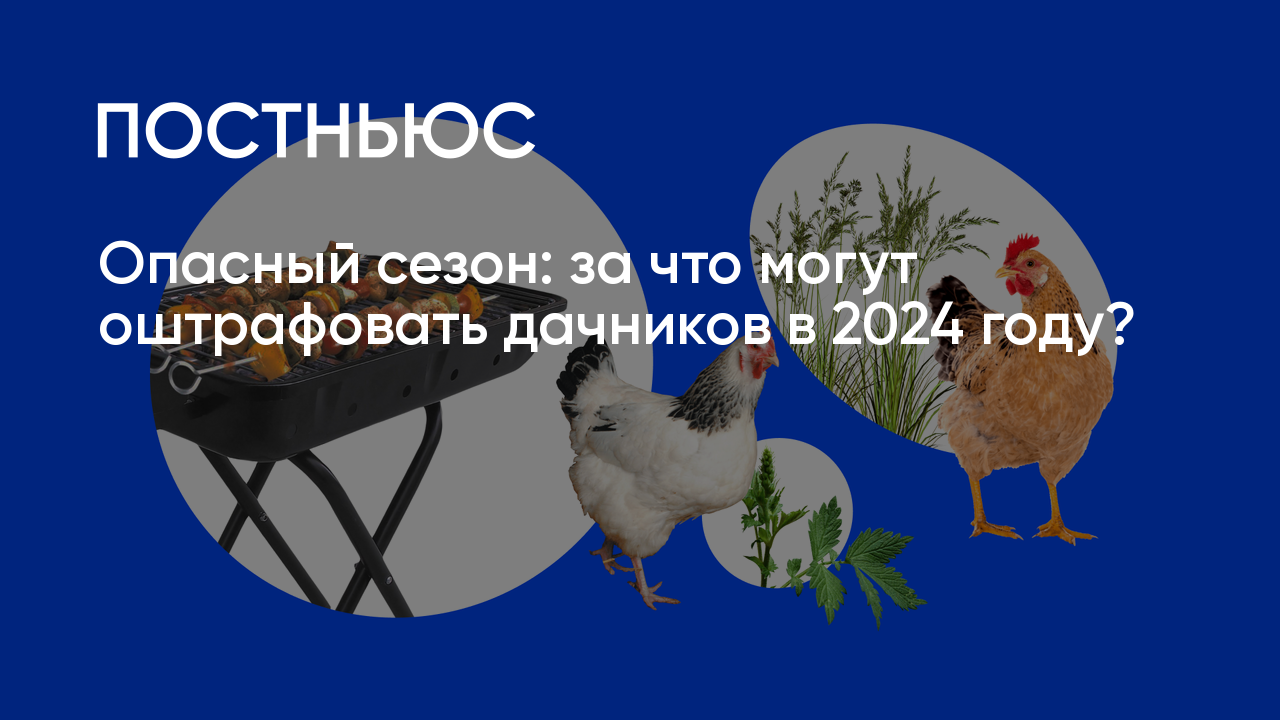 Штрафы для дачников в России в 2024 году: сорняки, мусор, разведение  костров на даче