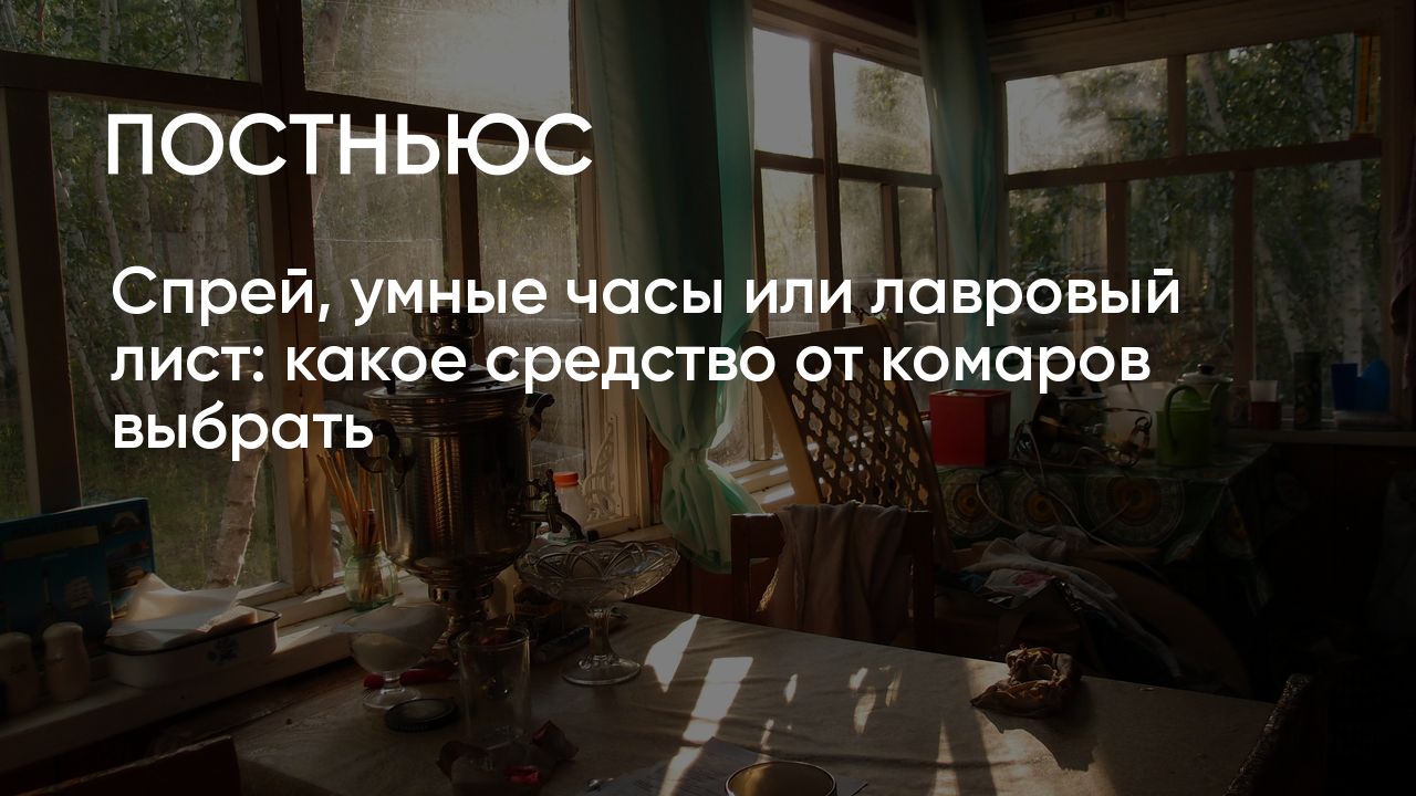 Что помогает и как защититься от комаров на природе, участке и в квартире:  лучшие средства, народные методы