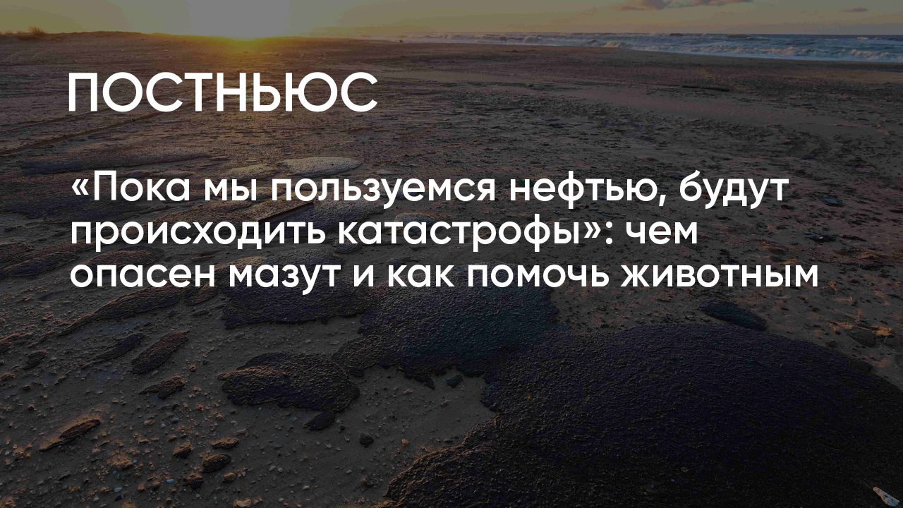 Разлив мазута в Черном море: крушение танкеров в Керченском проливе ...