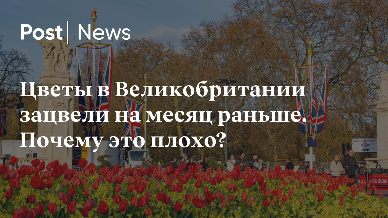 Цветы в Великобритании зацвели на месяц раньше. Почему это плохо?