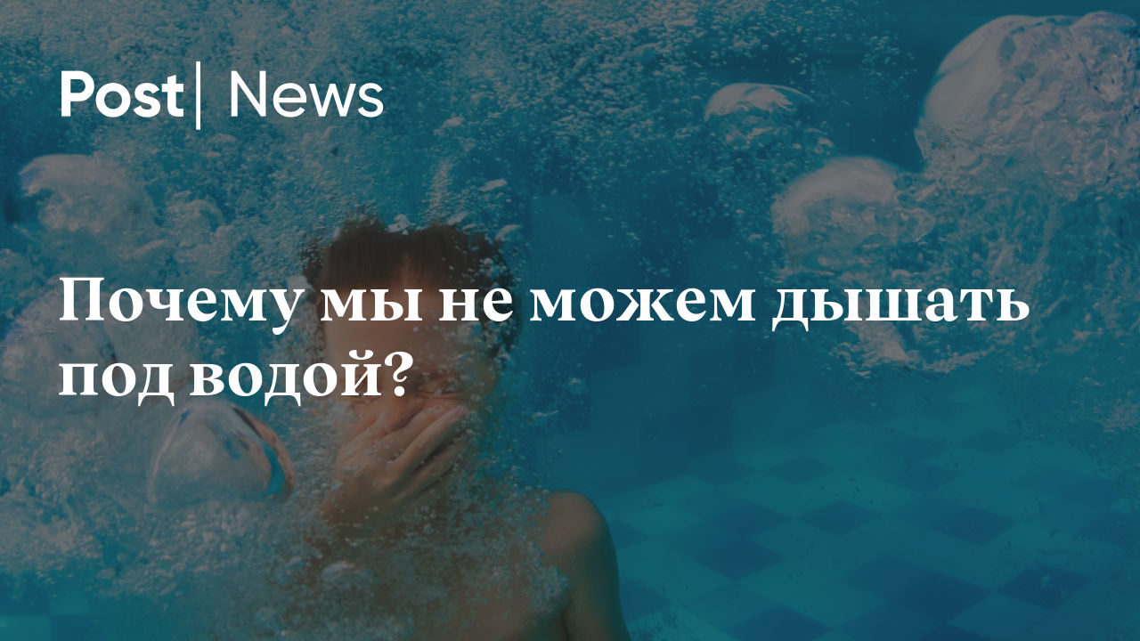 Почему мы не можем дышать под водой?