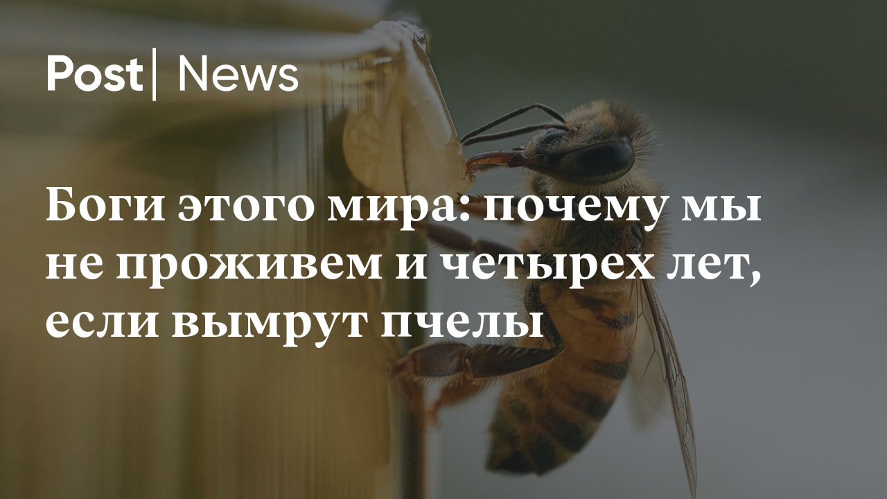 Что будет если вымрут все