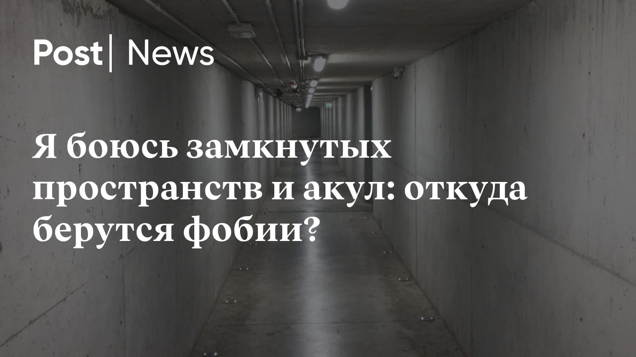 Я боюсь замкнутых пространств и акул: откуда берутся фобии?