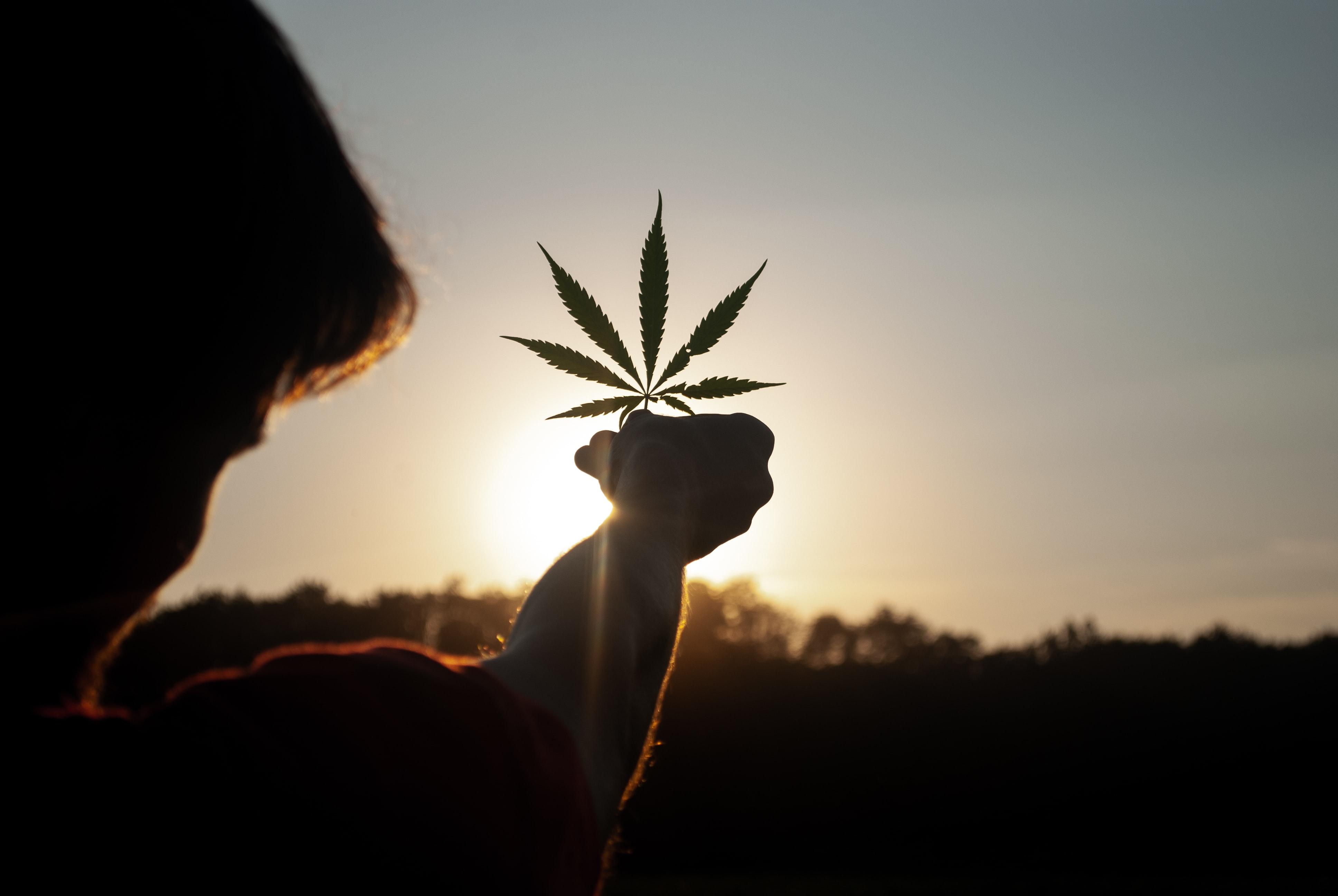 грузия легализация марихуаны