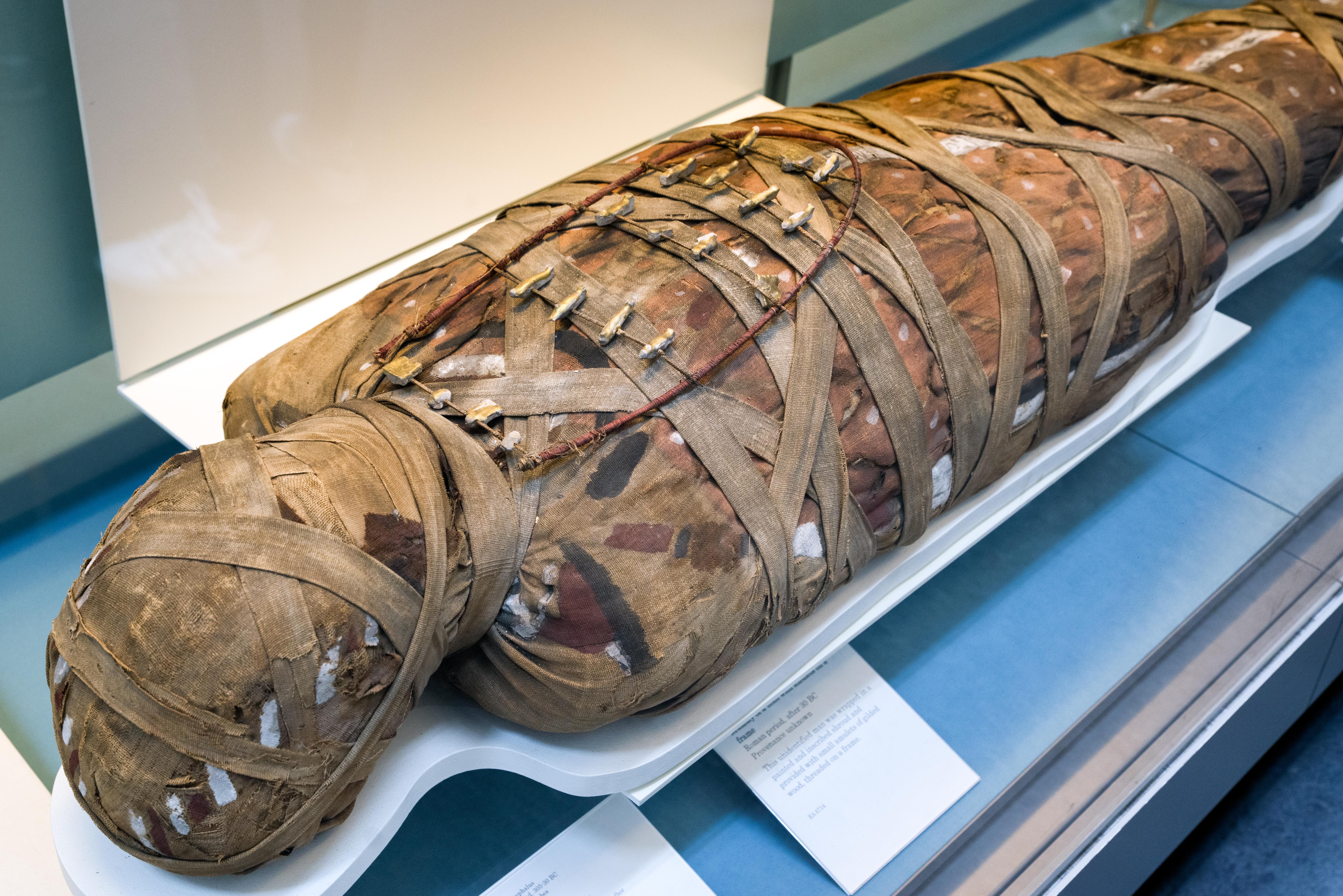 Мумии древнего Египта в музее