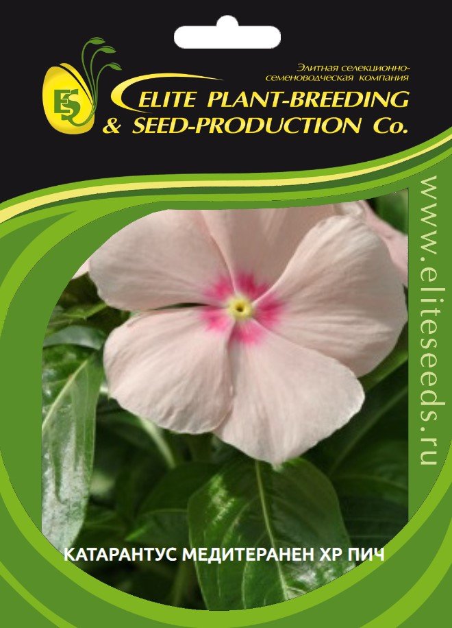 Катарантус гибридный медитеранен хр пич 30 шт эс мини ELITE PLANT-BREEDING & SEED PRODUCTION Co. 1026993818