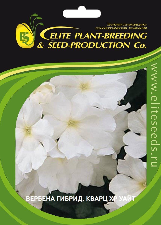 Семена ELITE PLANT-BREEDING & SEED PRODUCTION Co. Вербена гибридная кварц xp уайт 30 шт эс мини 1999943422