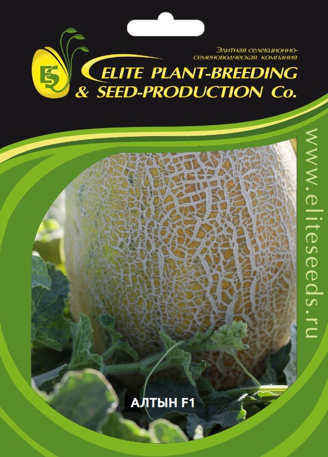 Алтын F1 семена дыни 20 шт ЭС мини ELITE PLANT-BREEDING & SEED PRODUCTION Co. 1999945129