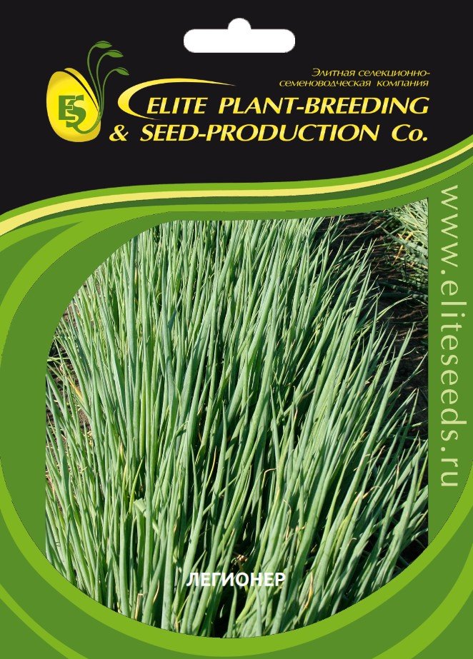 Легионер семена лука батуна (на зелень) 50 г ЭС ELITE PLANT-BREEDING & SEED PRODUCTION Co. 10008208