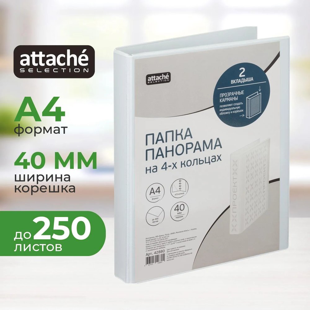 Папка на 4-х кольцах Панорама 40мм Россия