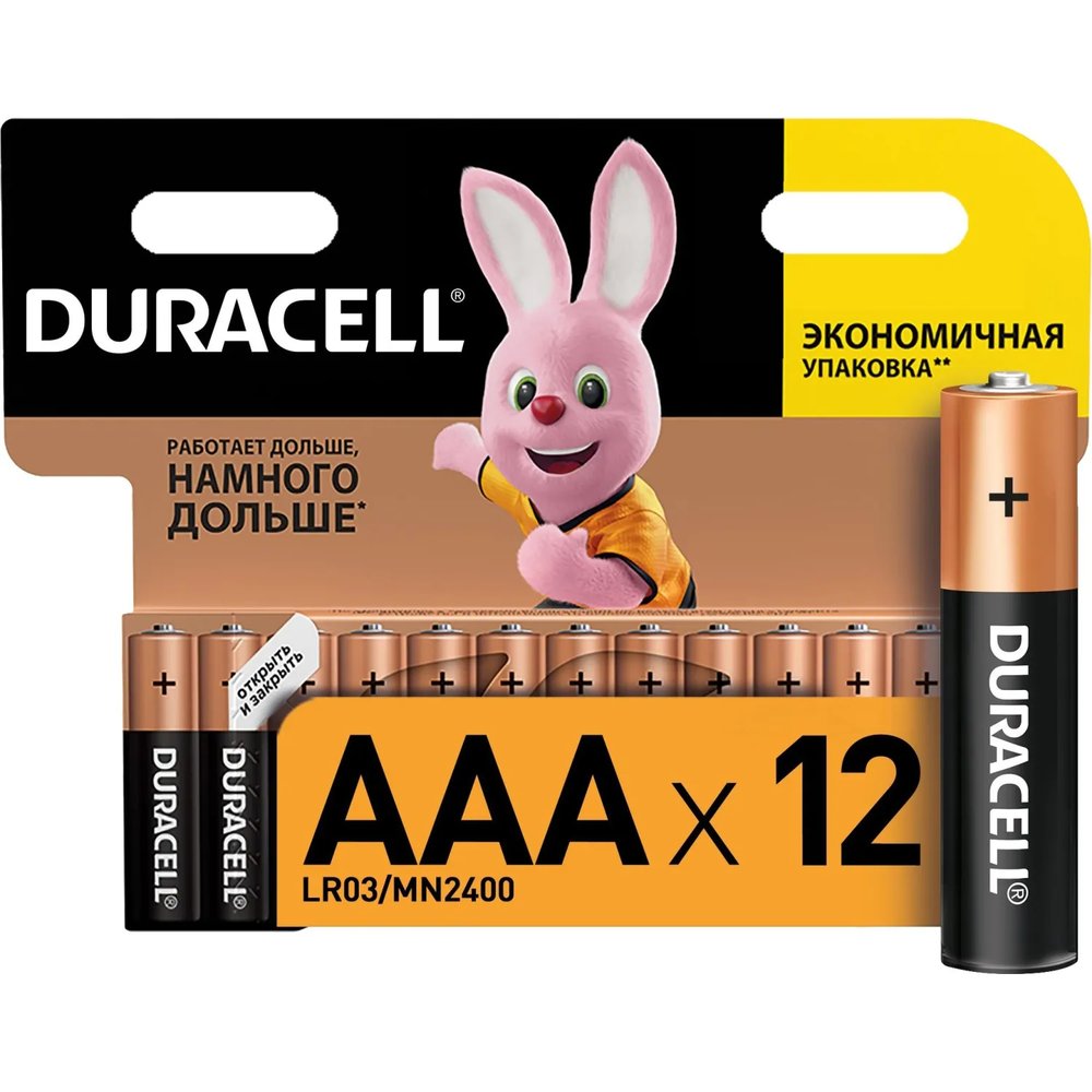 Батарейка DURACELL BASIC ААA/LR03-12BL
