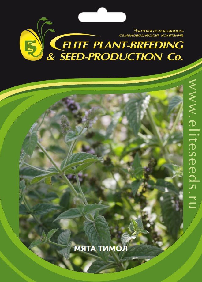 Тимол семена мяты овощной 1 г ЭС мини ELITE PLANT-BREEDING & SEED PRODUCTION Co. 1999947938