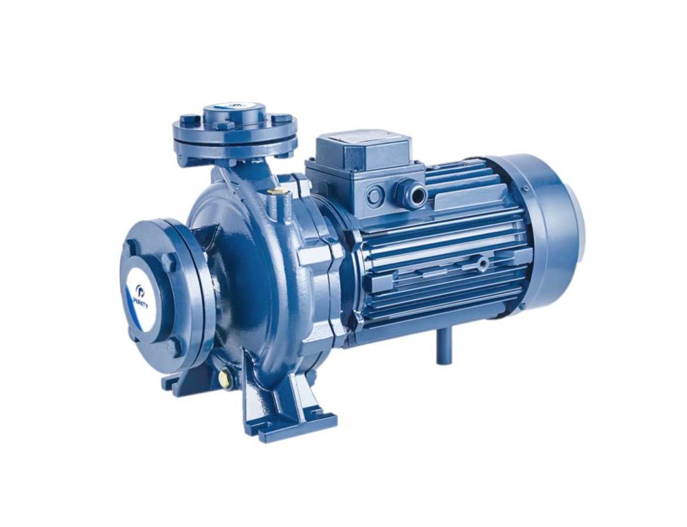 Моноблочный фланцевый насосный агрегат Purity PSTC 40-160/30 (N) 100588140