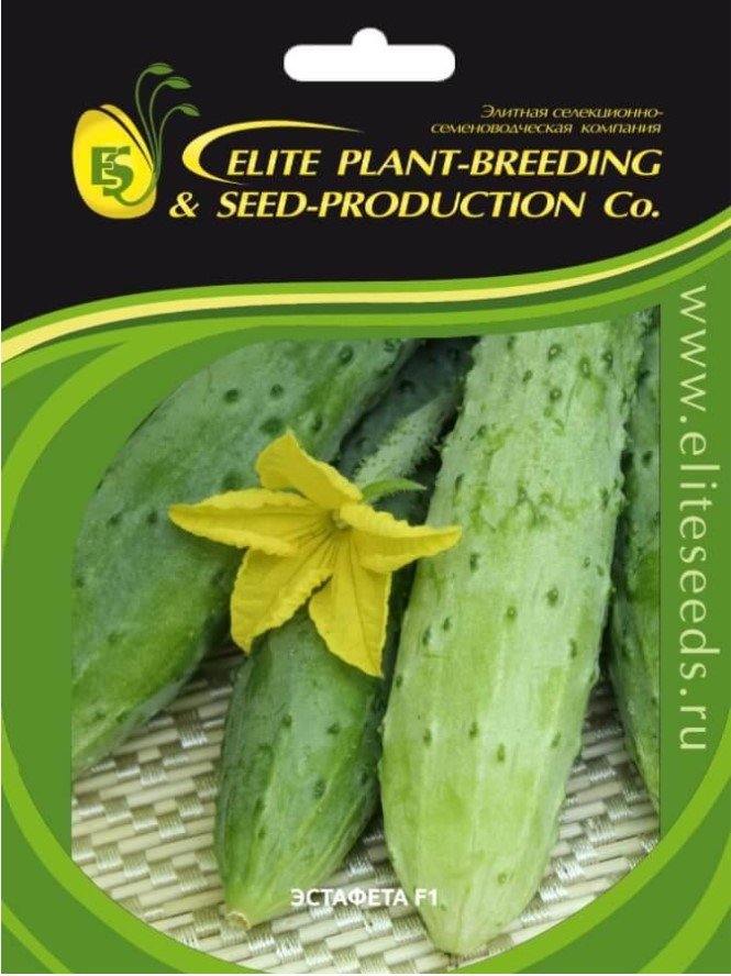 Эстафета F1 семена огурца 100 шт ЭС мини ELITE PLANT-BREEDING & SEED PRODUCTION Co. 1026993561
