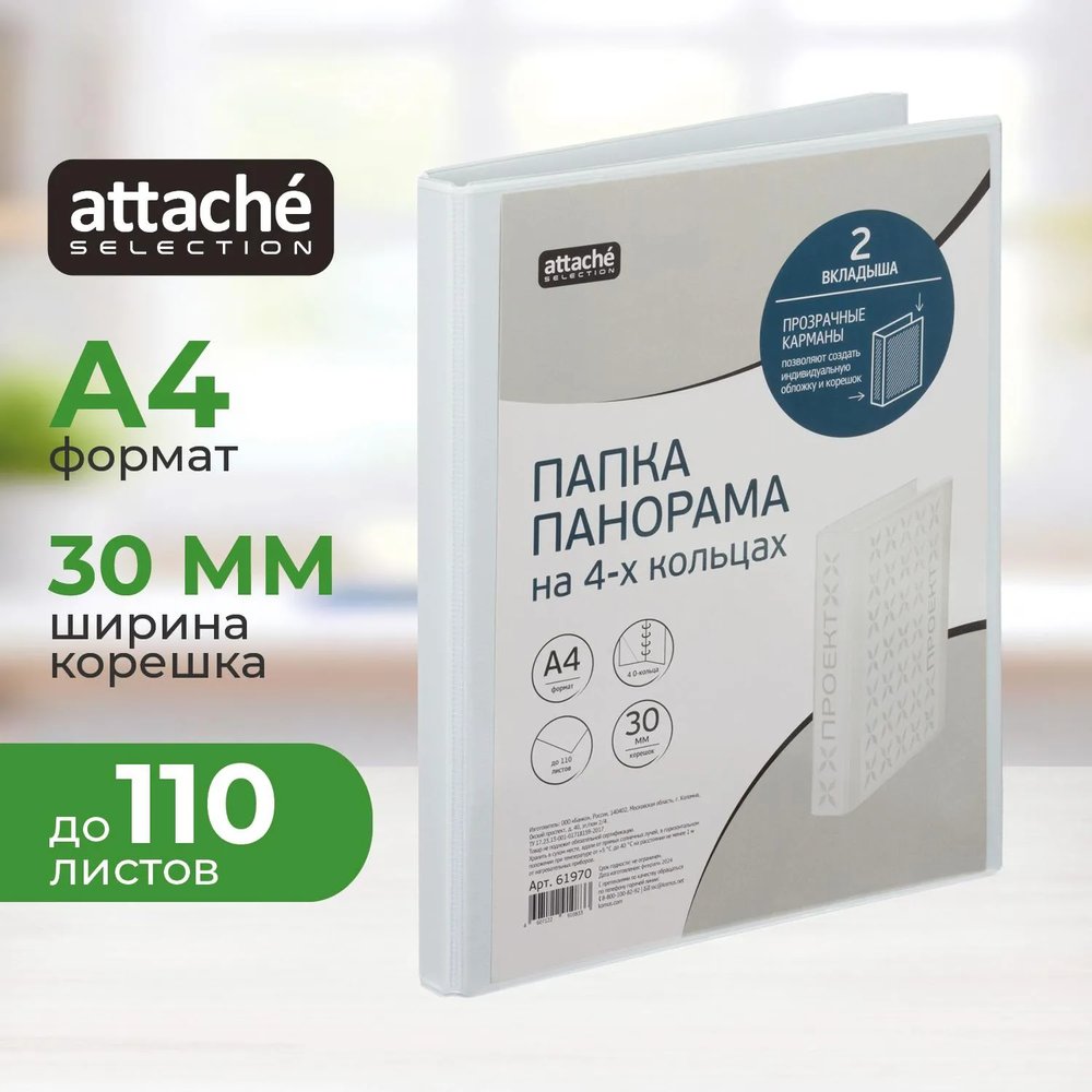 Папка на 4-х кольцах Панорама 30мм Россия