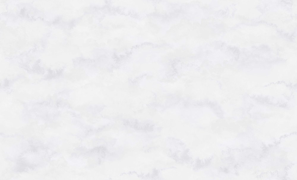Обои Erismann Naomi 60402-02