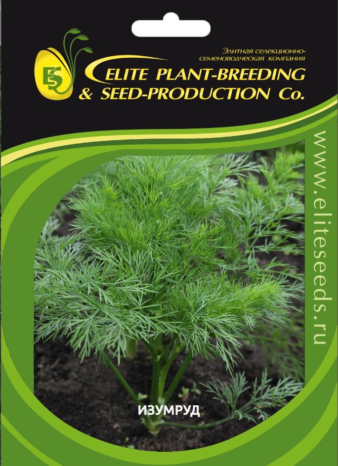 Изумруд семена укропа 15 г ЭС мини ELITE PLANT-BREEDING & SEED PRODUCTION Co. 1026995215