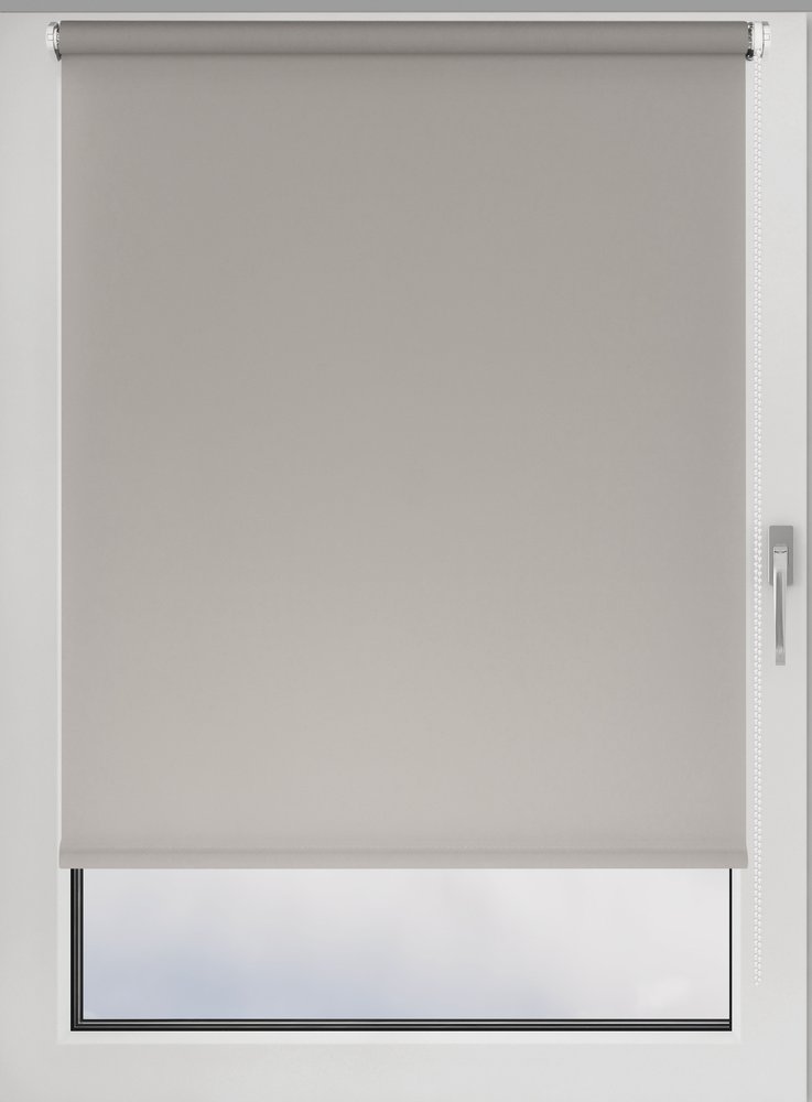 Рулонная штора PRAKTO GLASGOW 65x160 см, серый 9403219292