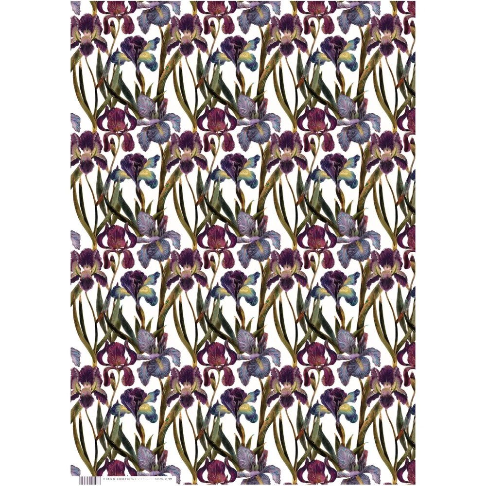 Бумага упаковочная FLORA.ИРИСЫ, 50 х 70 см (4 листа), 2-794/03