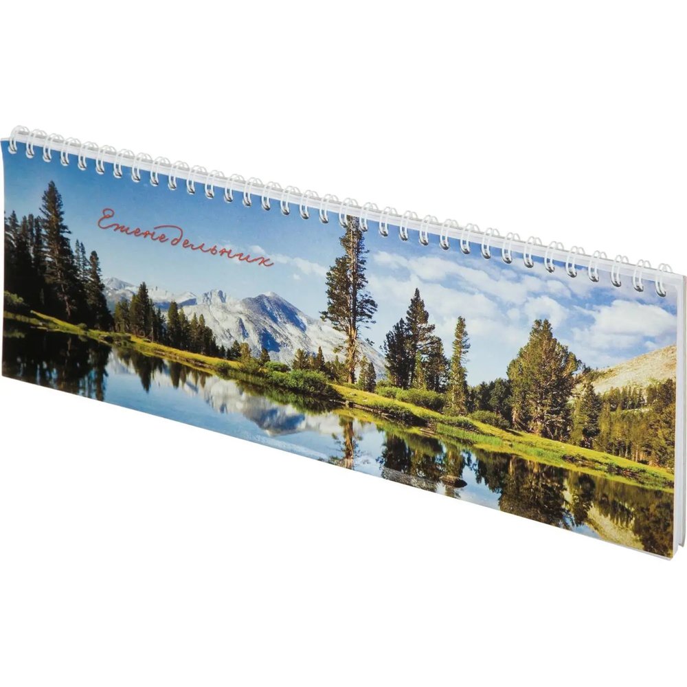 Планинг недатированный 295х100  56 л.Пт 4603721416431