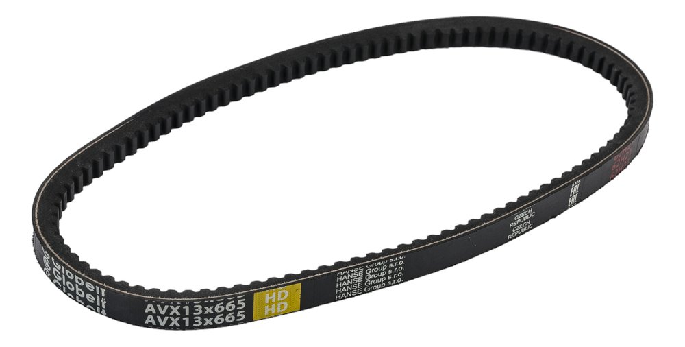 Зубчатый ремень Globelt AVX13x665 HD