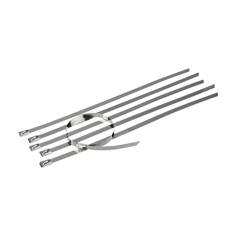 Стальной хомут REXANT 250x4,6 мм, 50 шт. 07-0258