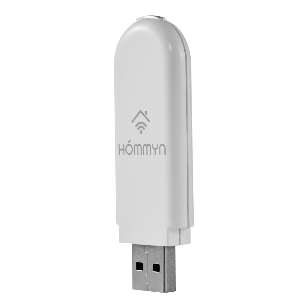Съемный управляющий модуль HOMMYN HDN/WFN-02-01  НС-1416708