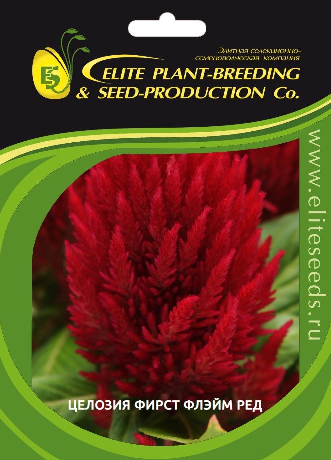 Целозия перистая фирст флэйм скарлет 30 шт эс мини ELITE PLANT-BREEDING & SEED PRODUCTION Co. 1999949343