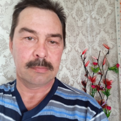 Владимир51, Викулово