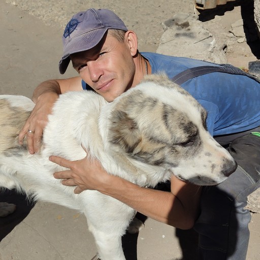 Александр39, Мариуполь