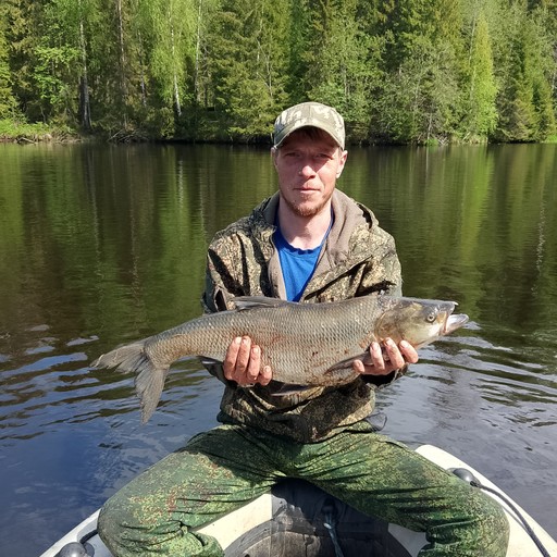 Иван40, Рыбное