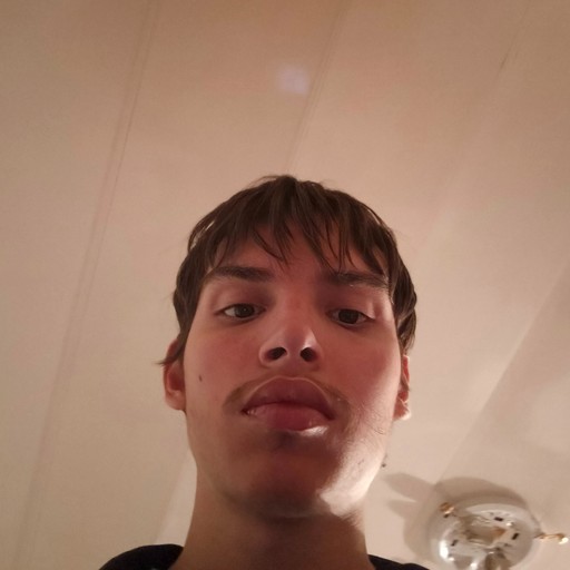 Артём19, Дорохово