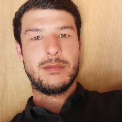 Дима29, Зеленодольск