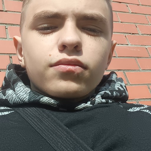 Миша23, Свободный