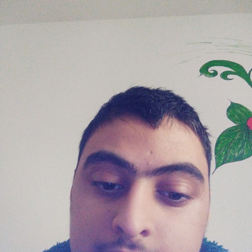 Руслан18, Сургут