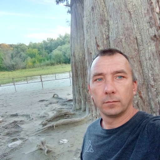 роман44, Павловск