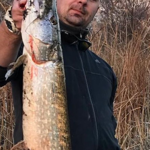 Евгений41, Луганск